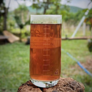 Trà gạo lứt đậu đen 2