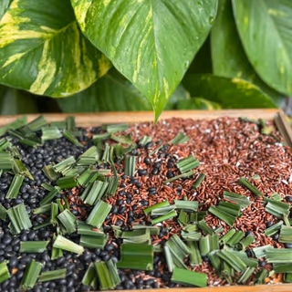 Trà gạo lứt đậu đen 4