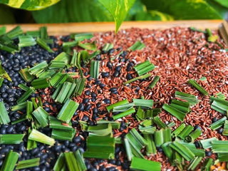 Trà gạo lứt đậu đen 7